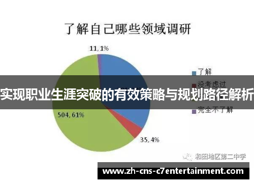 实现职业生涯突破的有效策略与规划路径解析 实现职业生涯突破的有效策略与规划路径解析