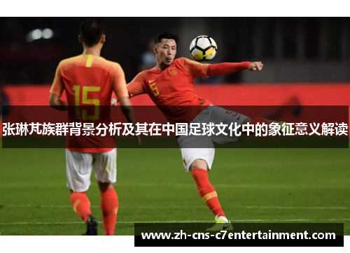 张琳芃族群背景分析及其在中国足球文化中的象征意义解读 张琳芃族群背景分析及其在中国足球文化中的象征意义解读