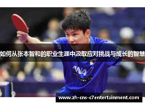 如何从张本智和的职业生涯中汲取应对挑战与成长的智慧