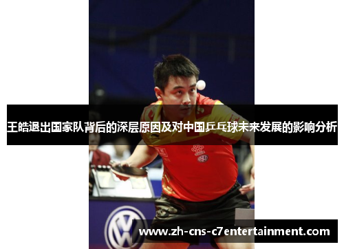 王皓退出国家队背后的深层原因及对中国乒乓球未来发展的影响分析 王皓退出国家队背后的深层原因及对中国乒乓球未来发展的影响分析