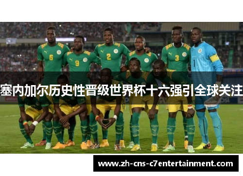塞内加尔历史性晋级世界杯十六强引全球关注 塞内加尔历史性晋级世界杯十六强引全球关注