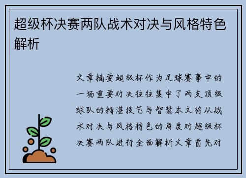 超级杯决赛两队战术对决与风格特色解析
